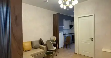 1 Bedroom Apartmet for Rent in Tbilisi in Tbilisi, Georgia