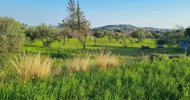 Terrain dans Parekklisia, Chypre