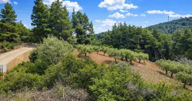 Terrain dans Neos Marmaras, Grèce