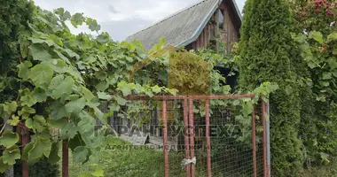 House in Telminski sielski Saviet, Belarus