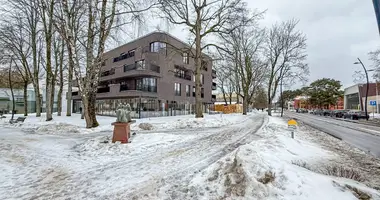 Коммерческое помещение 235 м² в Бирштонас, Литва