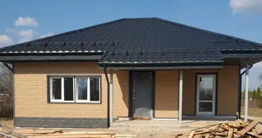 Haus 2 zimmer in Babaunianski sielski Saviet, Belarus