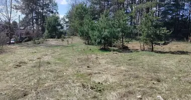 Дом в Гливинский сельский Совет, Беларусь