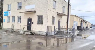 Commercial property 120 m² in Lida, Belarus