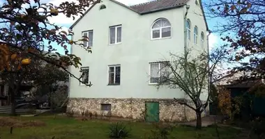 Dom 4 pokoi w Svitle, Ukraina