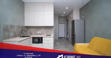 1 room apartment in Minsk, Belarus