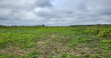Grundstück in Bolshaya Vruda, Russland