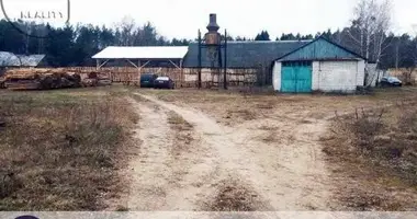 Commercial property 308 m² in Vierchaliessie, Belarus