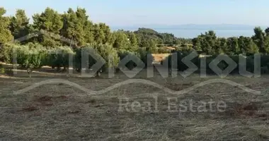 Plot of land in Kassandra Municipality, Greece