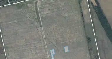 Plot of land in Tsilkani, Georgia