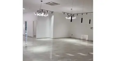 Propriété commerciale 197 m² dans Tirana, Albanie