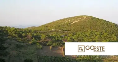 Parcela en Opcina Dezanovac, Croacia