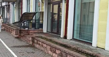 Warehouse 110 m² in Brest, Belarus