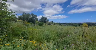 Plot of land in Likotinerea, Greece