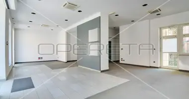 Propriété commerciale 115 m² dans Krapina, Croatie