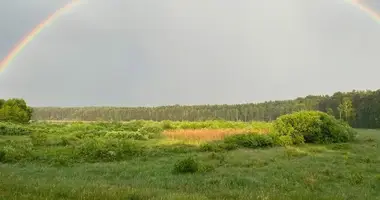 Terrain dans Kwiejce Nowe, Pologne