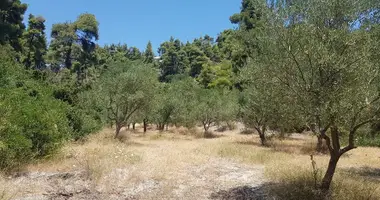 Terrain dans Moles Kalyves, Grèce