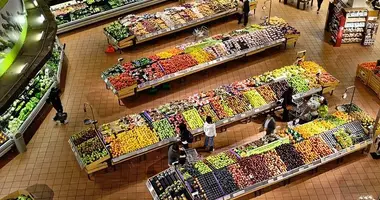 Tienda 3 000 m² en Mommenheim, Alemania
