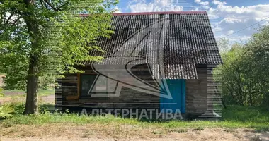 House in Navasiolki, Belarus