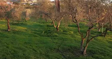 Grundstück in Skarinou, Zypern