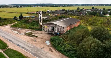 Commercial property 497 m² in Volosovo, Russia