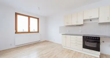 Apartamento 4 habitaciones en Praga, Chequia