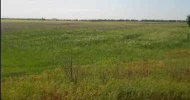 Działka w Odessa, Ukraina