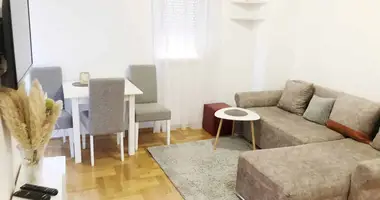 Apartamento 1 habitacion en Podgorica, Montenegro