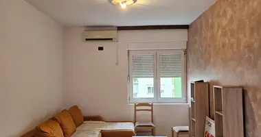 1 bedroom apartment in Podgorica, Montenegro