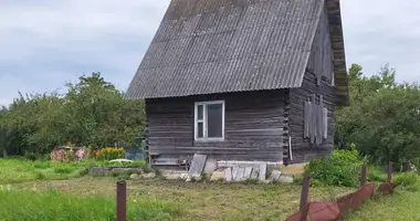 Terrain dans Azierski sielski Saviet, Bélarus