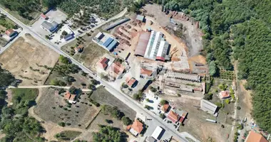 Produktion 5 420 m² in Ferreira do Zezere, Portugal