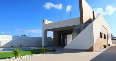 Villa 3 bedrooms in Aspe, Spain