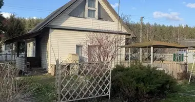 Дом в Боровской сельский Совет, Беларусь