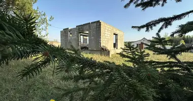 Terrain dans Usiazski sielski Saviet, Bélarus