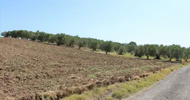 Plot of land in Makrygialos, Greece