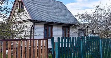 Дом в Пережирский сельский Совет, Беларусь