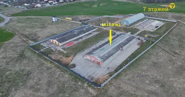 Magazyn 1 515 m² w Piatryskauski sielski Saviet, Białoruś