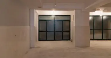 Gewerbefläche 203 m² in Tirana, Albanien