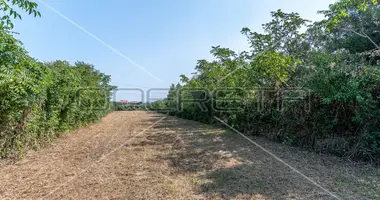 Grundstück in Opcina Marcana, Kroatien
