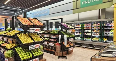 Коммерческое помещение 252 м² в Барселона, Испания