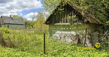 Maison dans Nieharelski sielski Saviet, Bélarus