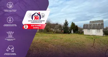 Plot of land in Rakauski sielski Saviet, Belarus