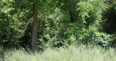 Grundstück in Terni, Italien
