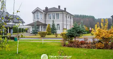 7 room house in Minsk, Belarus