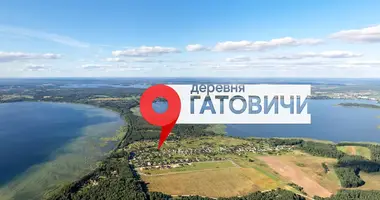 Dom 2 pokoi w Miadzielski sielski Saviet, Białoruś
