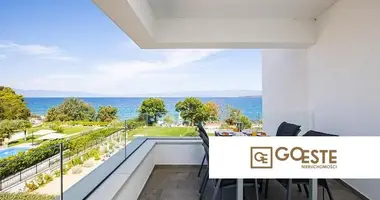 2 room apartment in Opcina Dezanovac, Croatia