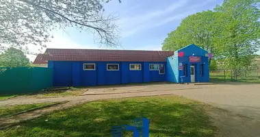 Propiedad comercial 210 m² en Minsk, Belarús