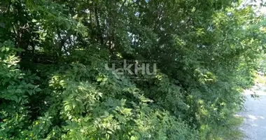 Plot of land in Sokolskoe, Russia