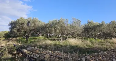 Plot of land in Municipality of Agios Nikolaos, Greece