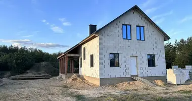 Dom wolnostojący w Turynski sielski Saviet, Białoruś